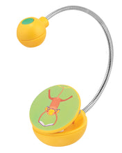 Little Readers Disc Light